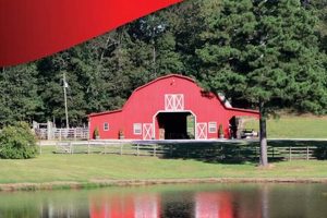 Exploring Dry Creek Farms: Adaptable Farming Methods | The Conscious Farmer | Sustainable Agriculture for a Healthier Planet