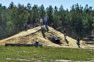 Discover CM Farms: Dry Creek, Louisiana's Best! | The Conscious Farmer | Sustainable Agriculture for a Healthier Planet