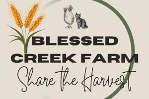 Discover Blessed Creek Farm: Sustainable Harvests | The Conscious Farmer | Sustainable Agriculture for a Healthier Planet