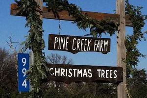 Discover Pine Creek Farm: Sustainable Farming Near You | The Conscious Farmer | Sustainable Agriculture for a Healthier Planet
