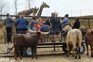 Your Guide: Farm at Walnut Creek Experience + Tips | The Conscious Farmer | Sustainable Agriculture for a Healthier Planet