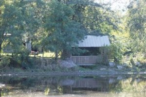 Visit Stony Creek Farm Noblesville, Indiana: Your Guide! | The Conscious Farmer | Sustainable Agriculture for a Healthier Planet