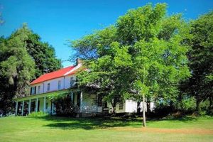 Explore: Creek Crossing Farm Life & Beyond | The Conscious Farmer | Sustainable Agriculture for a Healthier Planet