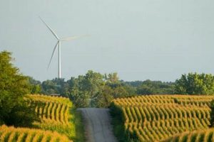 Exploring Jordan Creek Wind Farm: Renewable Powerhouse! | The Conscious Farmer | Sustainable Agriculture for a Healthier Planet