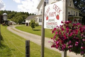 Visit Berry Creek Farm: Fresh, Local &amp; Fun! | The Conscious Farmer | Sustainable Agriculture for a Healthier Planet