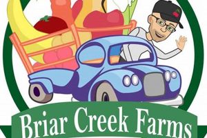 Discover Briar Creek Farm: Your Local Sustainable Choice | The Conscious Farmer | Sustainable Agriculture for a Healthier Planet