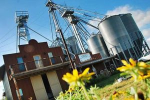 Your Guide to Coyote Creek Farm's Fresh Bounty! | The Conscious Farmer | Sustainable Agriculture for a Healthier Planet
