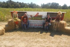 Discover CM Farms Dry Creek LA: Your Local Harvest! | The Conscious Farmer | Sustainable Agriculture for a Healthier Planet