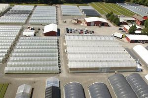 Fall Creek Farm Blueberries: Nursery & Beyond | The Conscious Farmer | Sustainable Agriculture for a Healthier Planet