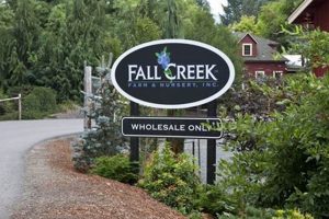 Discover Fall Creek Farm: Your Local Fresh Source | The Conscious Farmer | Sustainable Agriculture for a Healthier Planet