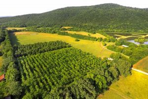 A Guide to Mud Creek Farm Living & Beyond | The Conscious Farmer | Sustainable Agriculture for a Healthier Planet