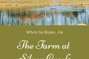 Visit The Farm at Silver Creek: Fresh & Local! | The Conscious Farmer | Sustainable Agriculture for a Healthier Planet