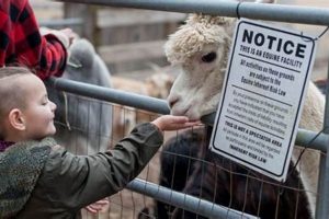 Your Little Creek Farm Veterinary: Care &amp; Services Near You | The Conscious Farmer | Sustainable Agriculture for a Healthier Planet