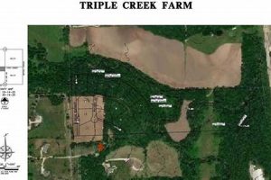 Your Farm: Triple Creek Farm - Fresh & Local! | The Conscious Farmer | Sustainable Agriculture for a Healthier Planet