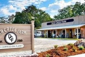 Discover Deer Creek Farm: Your Local Harvest | The Conscious Farmer | Sustainable Agriculture for a Healthier Planet