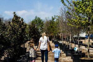 Grow with Fossil Creek Tree Farm: Your Local Experts | The Conscious Farmer | Sustainable Agriculture for a Healthier Planet