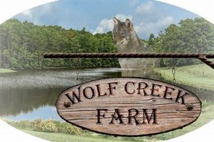 Your Guide to Wolf Creek Farm: Organic & Sustainable | The Conscious Farmer | Sustainable Agriculture for a Healthier Planet