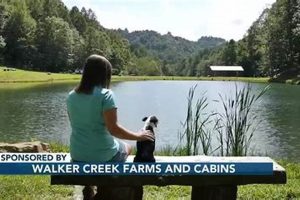 Visit Walker Creek Farm: Fresh & Local! | The Conscious Farmer | Sustainable Agriculture for a Healthier Planet