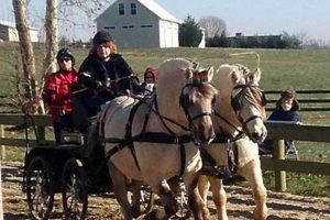 Visit Deep Creek Farm: Fresh & Local Goodness | The Conscious Farmer | Sustainable Agriculture for a Healthier Planet