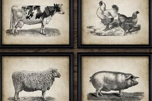 Rustic Charm: Farm Animal Wall Art Decor Ideas | The Conscious Farmer | Sustainable Agriculture for a Healthier Planet
