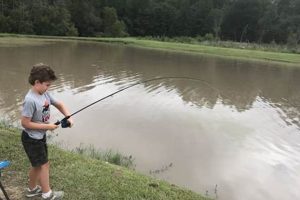 Your Guide to Cedar Creek Fish Farm NC Options Near You | The Conscious Farmer | Sustainable Agriculture for a Healthier Planet
