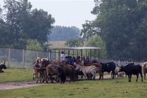 Visit Dutch Creek Farm Animal Park: Fun Awaits! | The Conscious Farmer | Sustainable Agriculture for a Healthier Planet