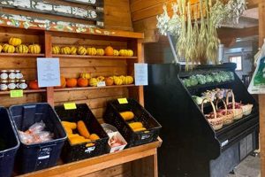 Gallatin Valley Botanical at Rocky Creek Farm: A Local Gem | The Conscious Farmer | Sustainable Agriculture for a Healthier Planet