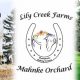 Lily Creek Farms: Your Local Farm Fresh Goodness | The Conscious Farmer | Sustainable Agriculture for a Healthier Planet