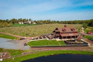 Your Dream Hill Creek Farms Wedding Venue + Tips | The Conscious Farmer | Sustainable Agriculture for a Healthier Planet