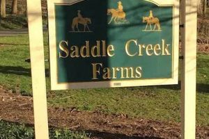 Shop Saddle Creek Farms Bedding: Luxurious Comfort | The Conscious Farmer | Sustainable Agriculture for a Healthier Planet