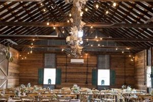 Visit Cecil Creek Farm in Mickleton, NJ | Family Fun! | The Conscious Farmer | Sustainable Agriculture for a Healthier Planet