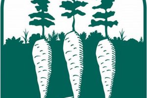 Discover Rancocas Creek Farm: Local & Sustainable | The Conscious Farmer | Sustainable Agriculture for a Healthier Planet