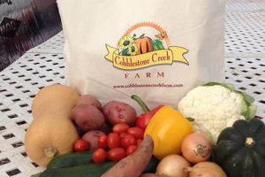 Your Guide: Cobblestone Creek Farm - Family Fun! | The Conscious Farmer | Sustainable Agriculture for a Healthier Planet