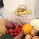 Your Guide: Cobblestone Creek Farm - Family Fun! | The Conscious Farmer | Sustainable Agriculture for a Healthier Planet