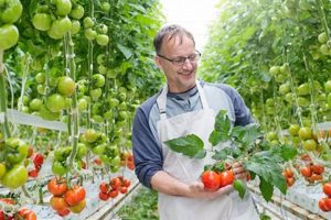 Lipman Family Farms Net Worth: Factors & Valuation Analysis | The Conscious Farmer | Sustainable Agriculture for a Healthier Planet
