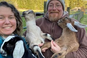 Your Guide to Brunner Family Farm: A Local Treasure | The Conscious Farmer | Sustainable Agriculture for a Healthier Planet