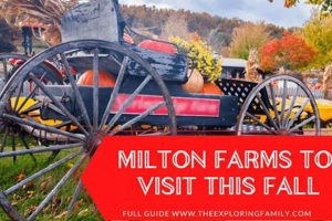 Discover Milton Family Farms: Fresh &amp; Local | The Conscious Farmer | Sustainable Agriculture for a Healthier Planet