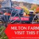 Discover Milton Family Farms: Fresh &amp; Local | The Conscious Farmer | Sustainable Agriculture for a Healthier Planet