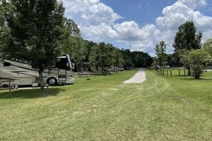 Explore River Bottom Farms Family Campground: Your Nature Escape! | The Conscious Farmer | Sustainable Agriculture for a Healthier Planet