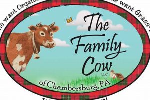 The Family Cow Farm | The Conscious Farmer | Sustainable Agriculture for a Healthier Planet