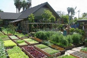 Family Farm Garden | The Conscious Farmer | Sustainable Agriculture for a Healthier Planet