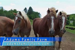 Vermont's Adams Family Farm: A Legacy of Farming | The Conscious Farmer | Sustainable Agriculture for a Healthier Planet