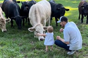 Why Miller Family Farms? Your Guide + More! | The Conscious Farmer | Sustainable Agriculture for a Healthier Planet