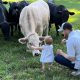 Why Miller Family Farms? Your Guide + More! | The Conscious Farmer | Sustainable Agriculture for a Healthier Planet