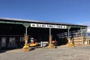 Visit Ellms Family Farm: Charlton Road Fun in Ballston Spa | The Conscious Farmer | Sustainable Agriculture for a Healthier Planet
