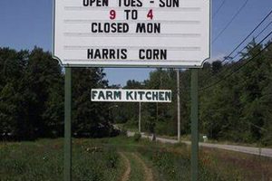 Visit Snell Family Farm Buxton ME | Local Produce | The Conscious Farmer | Sustainable Agriculture for a Healthier Planet