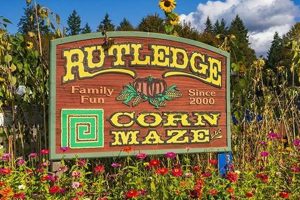 Rutledge Family Farm | The Conscious Farmer | Sustainable Agriculture for a Healthier Planet