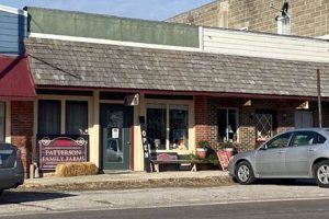 Discover Patterson Family Farms: Legacy on the Land | The Conscious Farmer | Sustainable Agriculture for a Healthier Planet