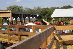 Niederman Family Farms | The Conscious Farmer | Sustainable Agriculture for a Healthier Planet