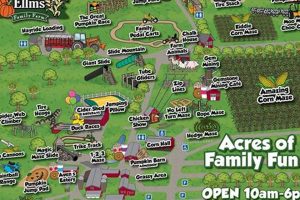 Ellms Family Farm Photos | The Conscious Farmer | Sustainable Agriculture for a Healthier Planet